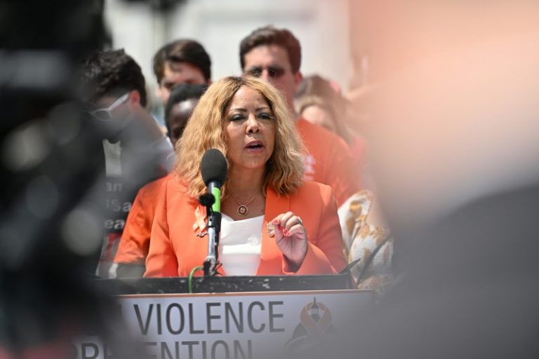 House Democrats look to force Republican majority to act on gun reform