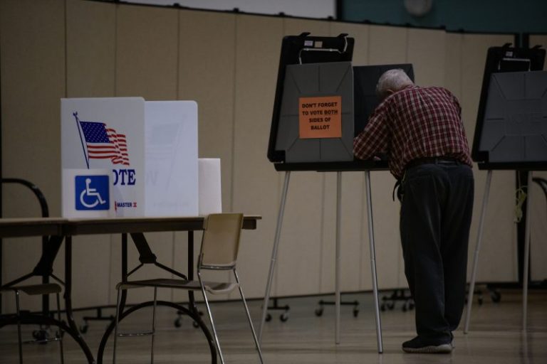 Study finds GOP midterm wins came down to partisan turnout, not defections