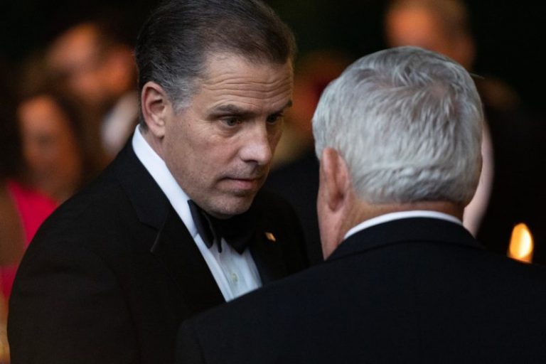 Hunter Biden sues IRS over disclosures