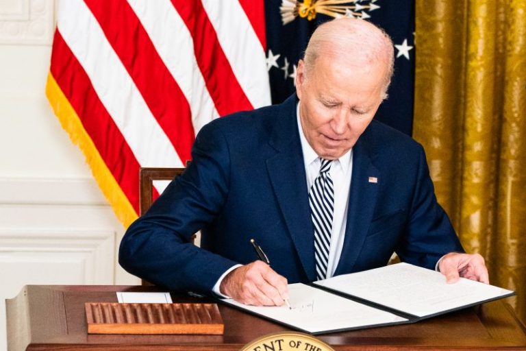 Biden supporters launch New Hampshire write-in campaign after president forgoes ballot