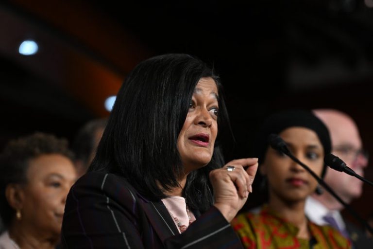 Rep. Pramila Jayapal’s sister looks to join her in Congress
