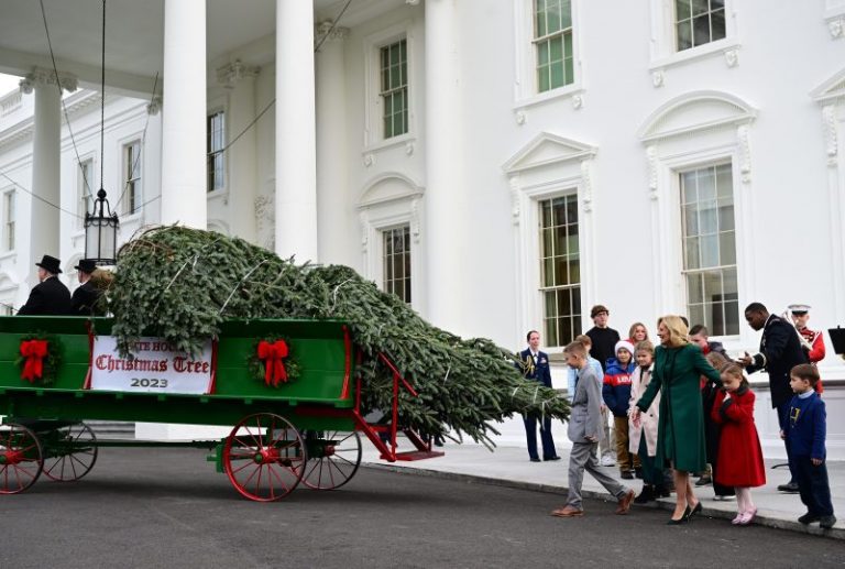 Picking the White House Christmas tree is all about height, sight and light