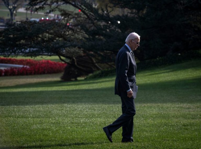 Biden faces expanding list of potential challengers in reelection bid