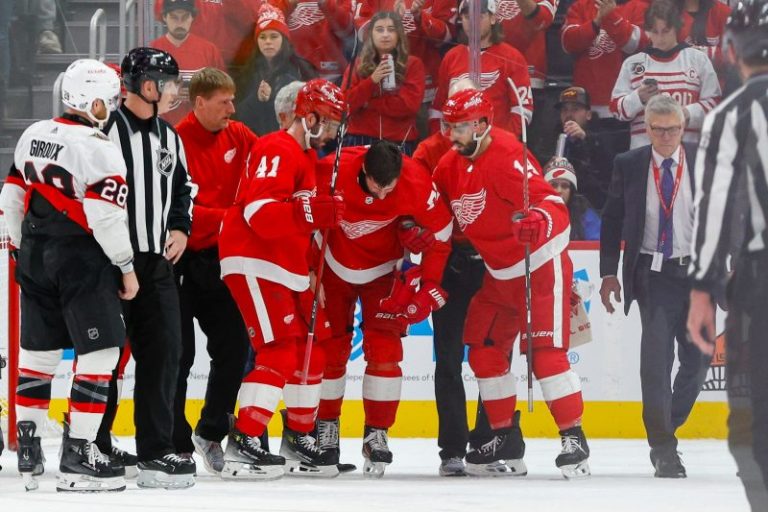 Red Wings captain knocked out on hit; teammate’s reaction leads to hearing