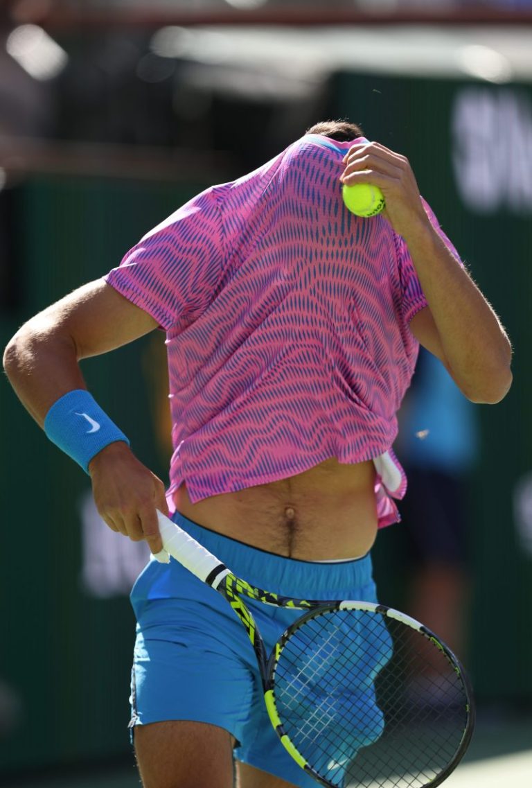 Bee-NP Paribas Open: Invasion of bees suspend tennis match at Indian Wells