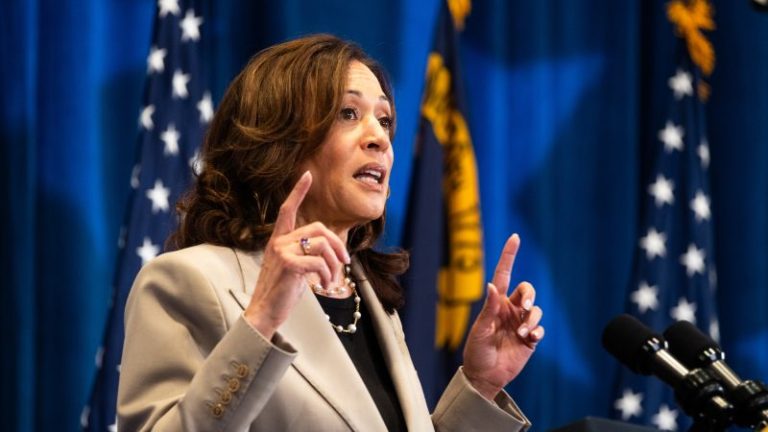 Democrats falling in line behind Harris, ending weeks of rancor about Biden