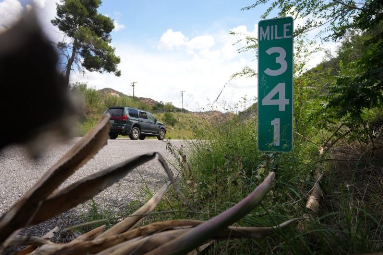 College football players accused of smuggling migrants