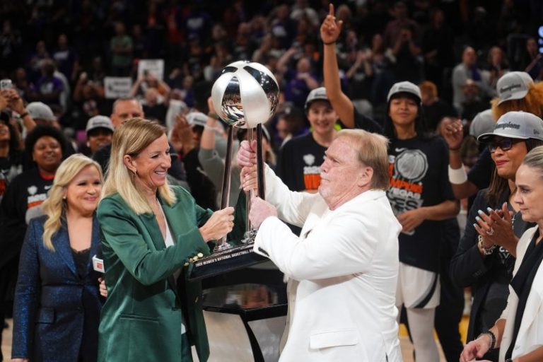 How many fans watched the WNBA Finals?