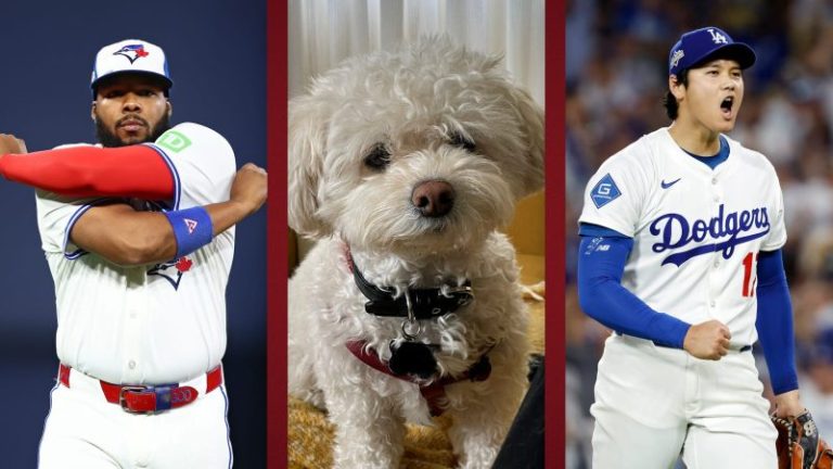 World Series picks leave man, dog commiserating before Game 6